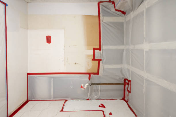 Asbestos and Lead Testing During Mold Inspection in King, NC